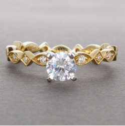 132290_-_straight_on