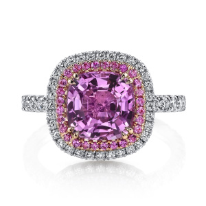 r2649-rc1400-pscu_-_web